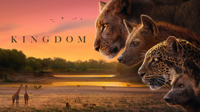 Kingdom (2026) key art