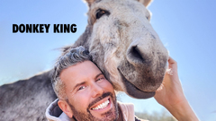 Donkey King