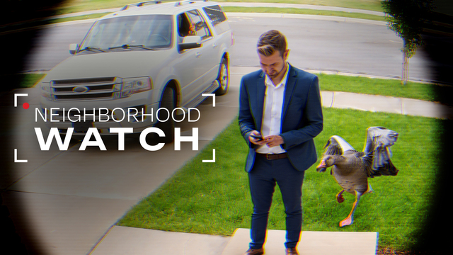 Neighborhood Watch (2026) key art