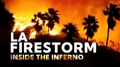 LA Firestorm
