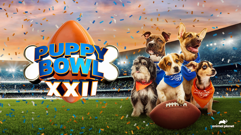 Puppy Bowl key art