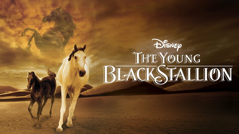 The Young Black Stallion - 