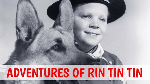 The Adventures of Rin Tin Tin