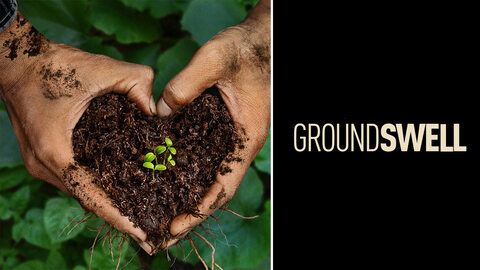 Groundswell (2026)