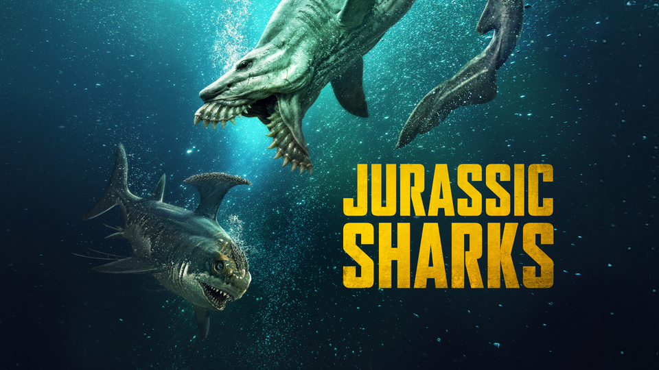 Jurassic Sharks Poster