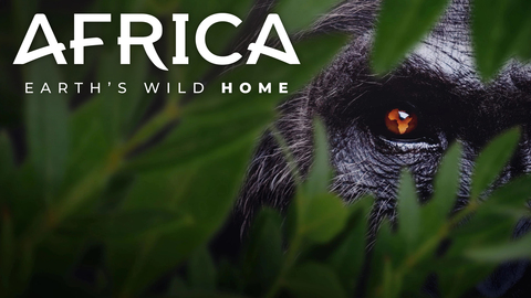 Africa Earth's Wild Home