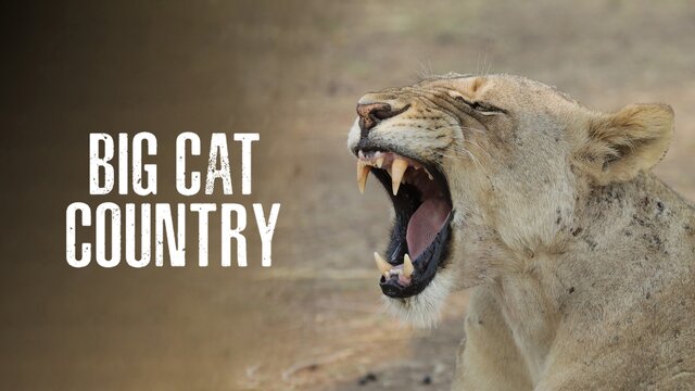 Big Cat Country key art