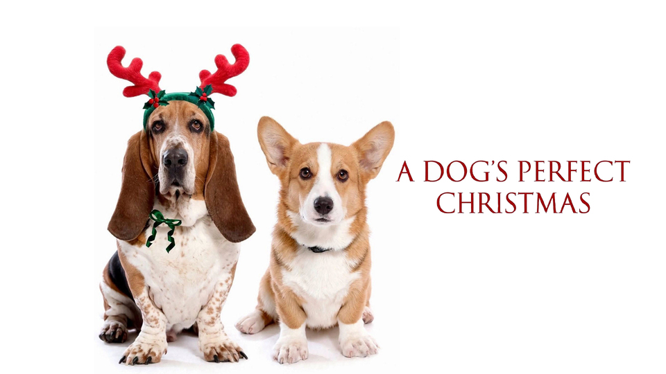 A Dog’s Perfect Christmas