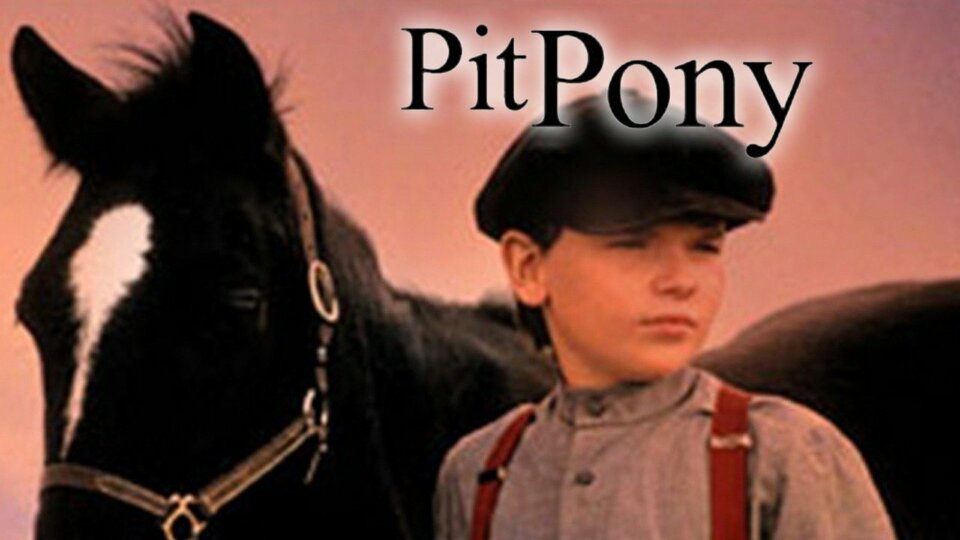 Pit Pony - 