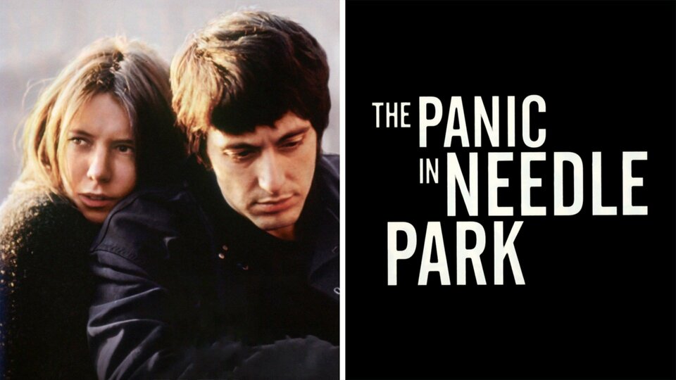 The Panic in Needle Park - 