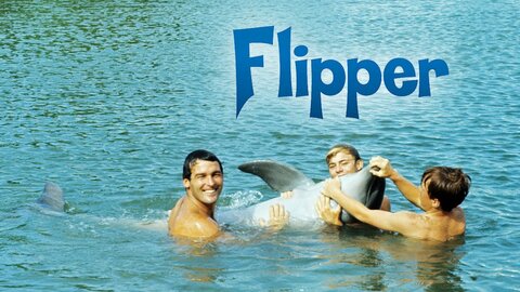 Flipper (1964)