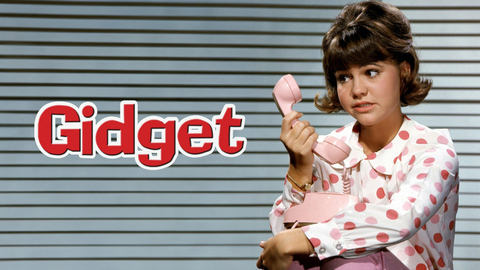 Gidget (1965)