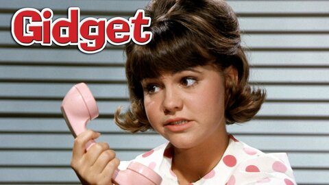 Gidget (1965)