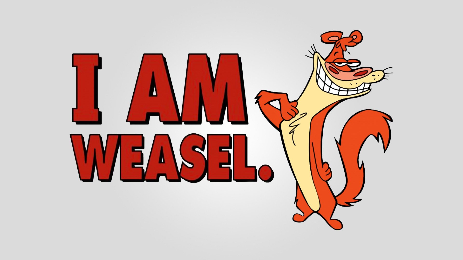 I shop am weasel