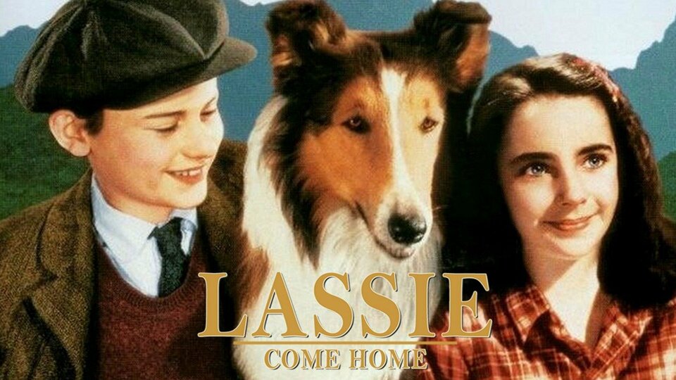 Lassie Come Home Movie Where To Watch