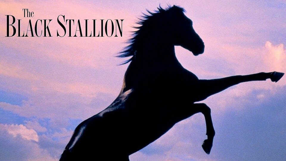 The Black Stallion - 