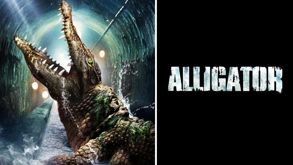 Alligator - 