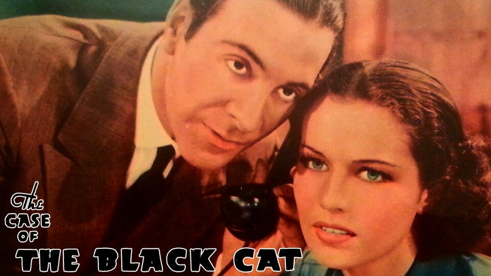 The Case of the Black Cat - 