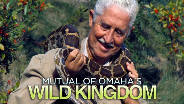 Mutual of Omaha's Wild Kingdom key art