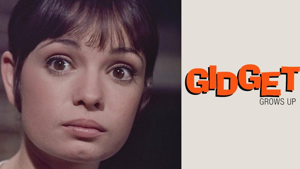 Gidget Grows Up - ABC