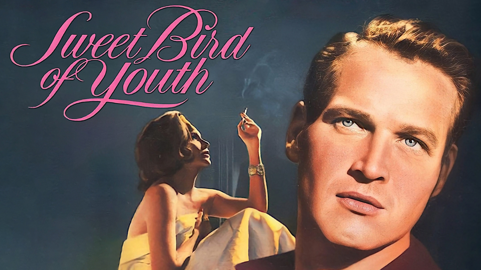 Sweet Bird of Youth - 