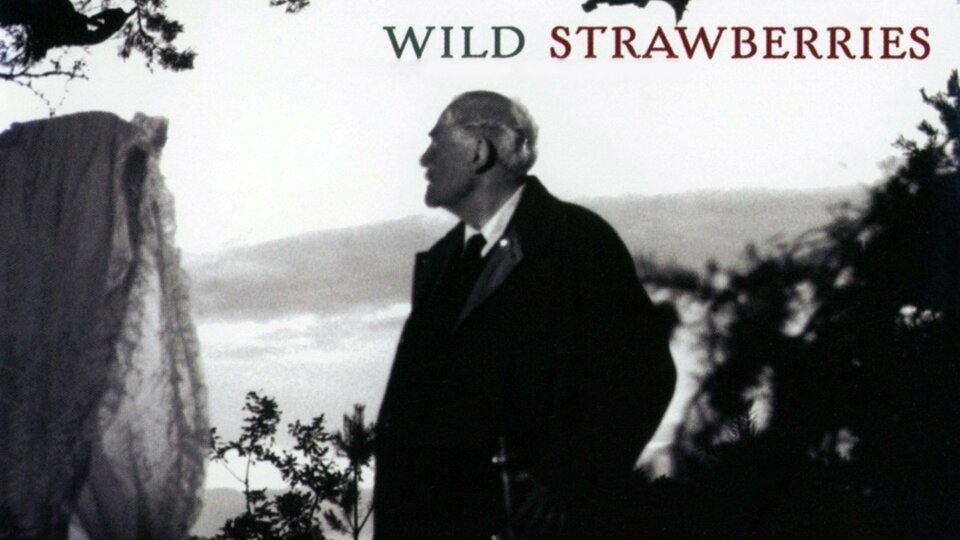 Wild Strawberries - 