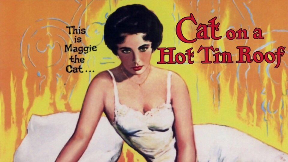 Cat on a Hot Tin Roof - 