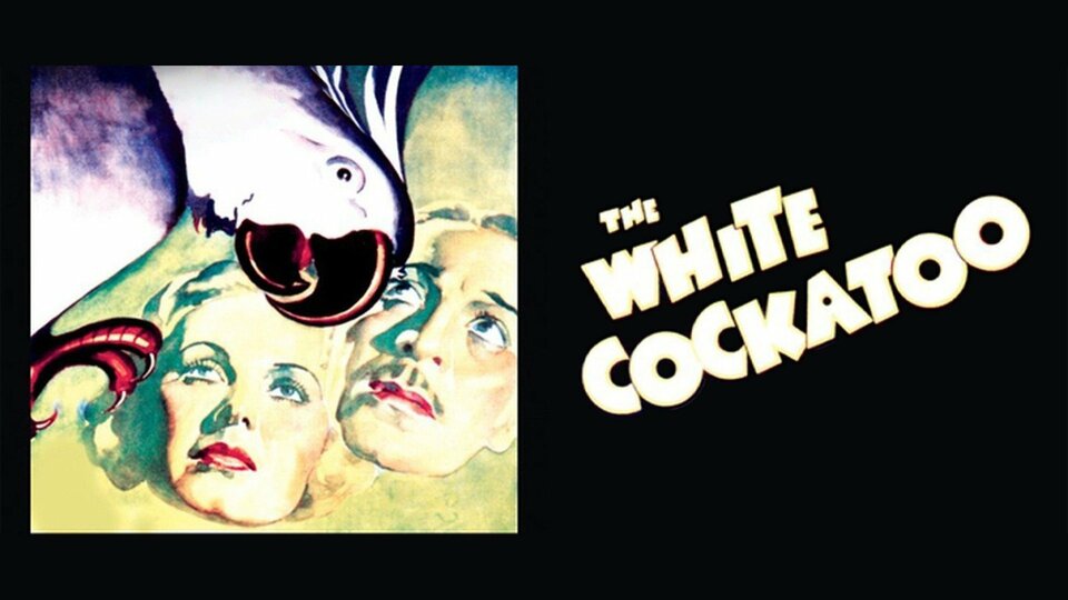 The White Cockatoo - 