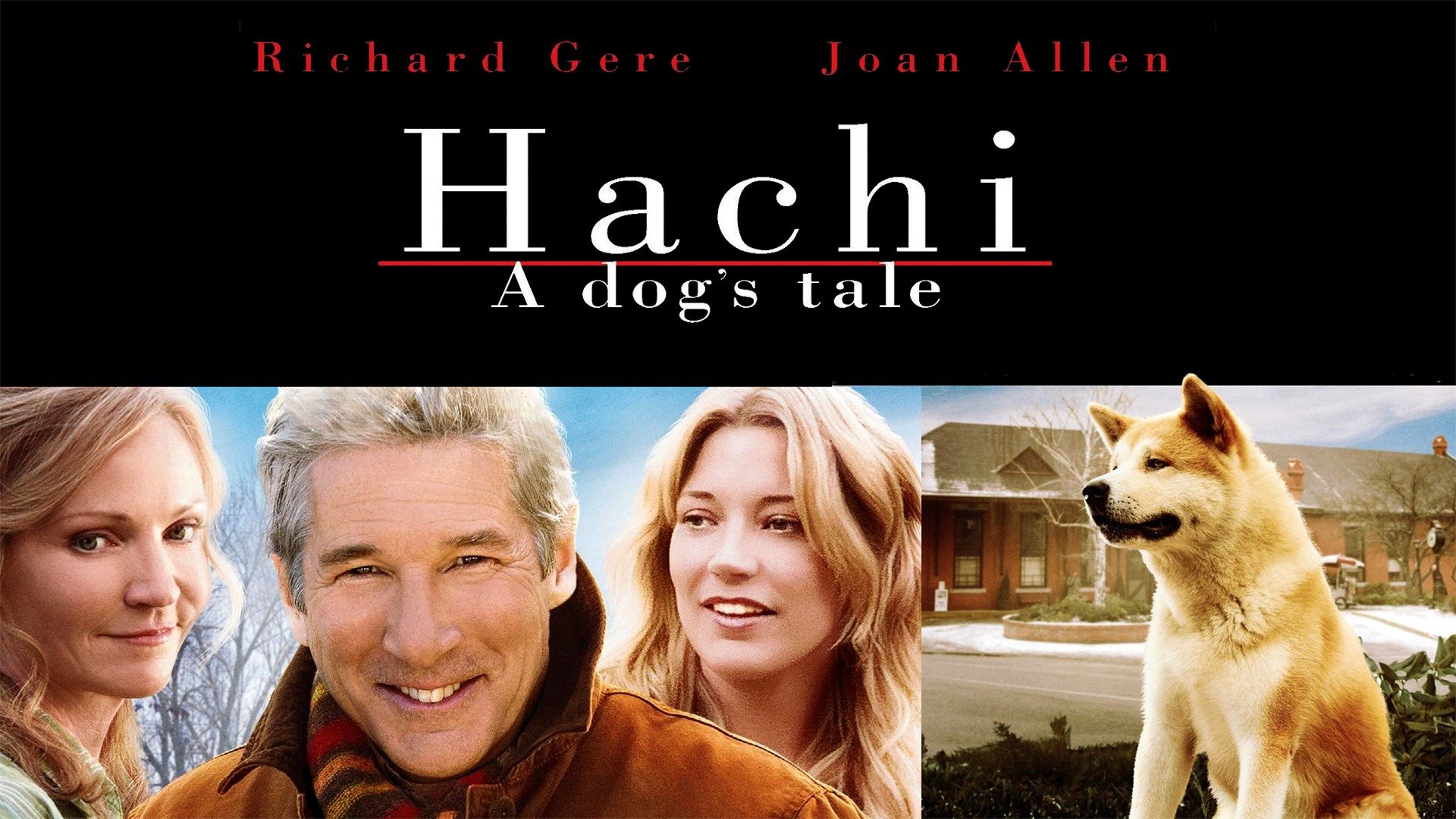 Hachi: A Dog's Tale - YouTube