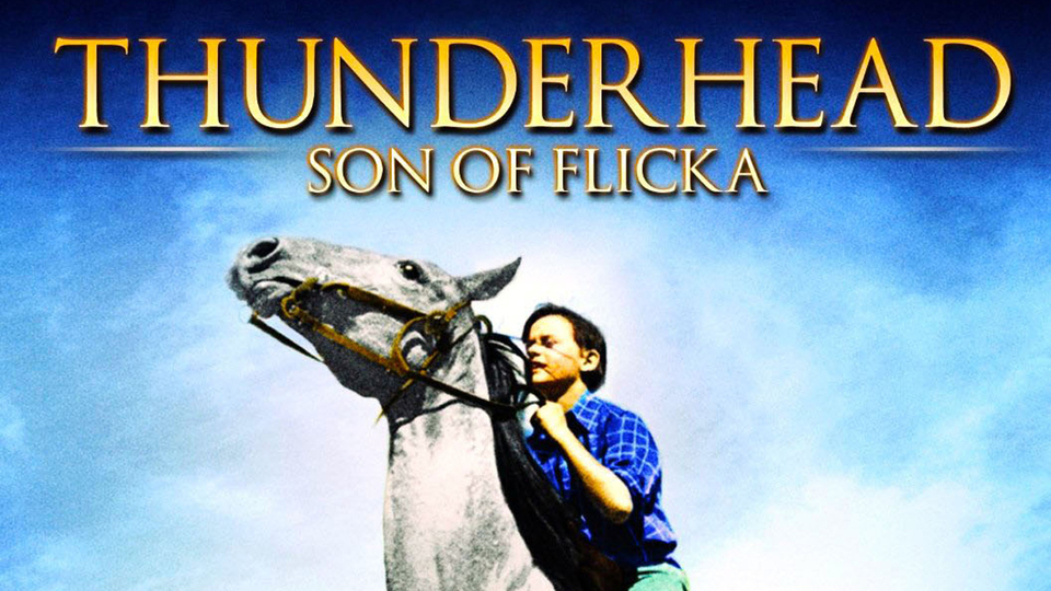 Thunderhead: Son of Flicka - 