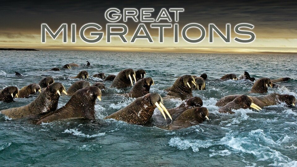 Great Migrations - Nat Geo