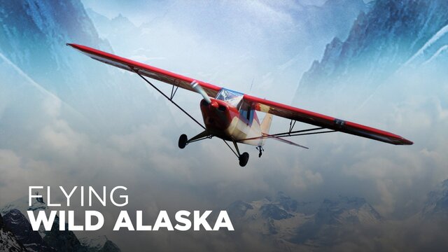 Flying Wild Alaska key art