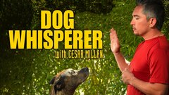 Dog Whisperer - Nat Geo