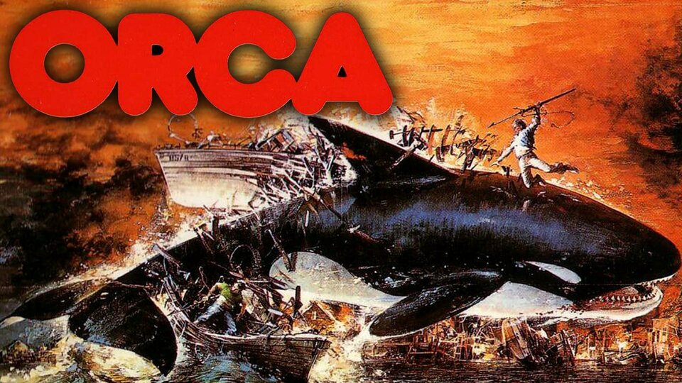 Orca - 