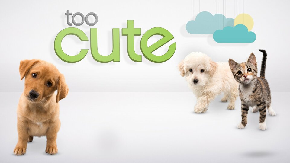 Too Cute! - Animal Planet Reality Series - Where To Watch
