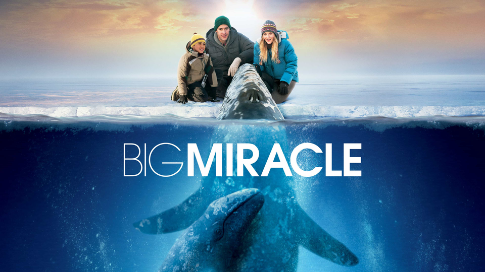 Big Miracle - 