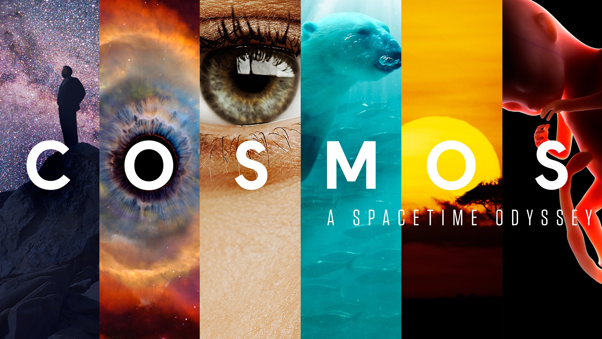 where to watch cosmos a spacetime odyssey
