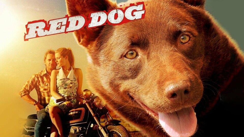 Red Dog - 