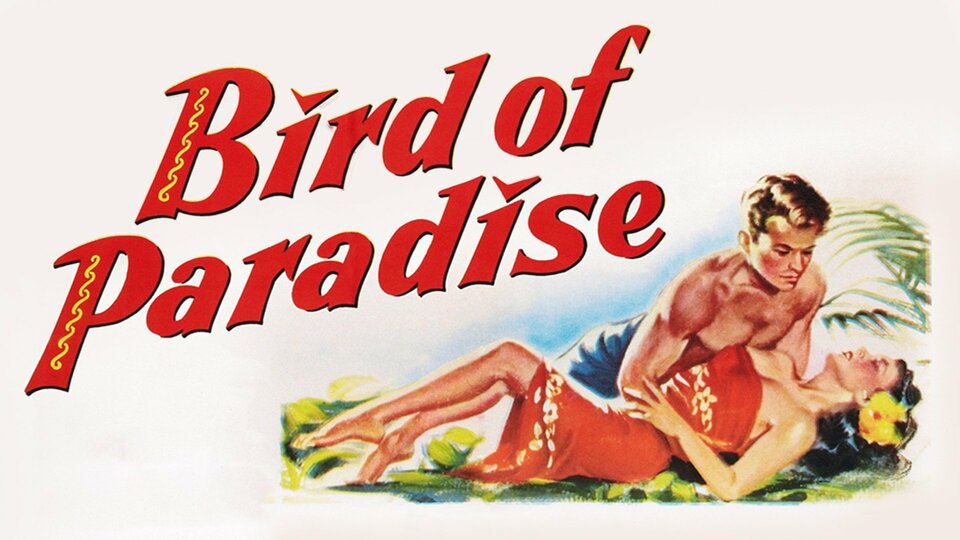 Bird of Paradise - 