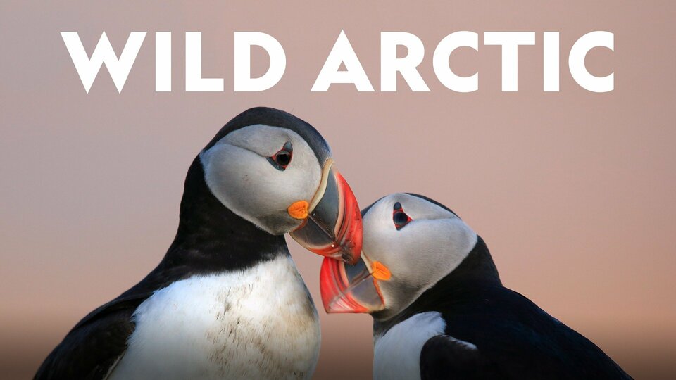 Wild Arctic - Nat Geo Wild
