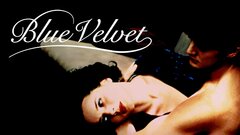 Blue Velvet - 