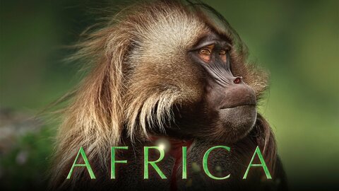 Planet Earth: Africa