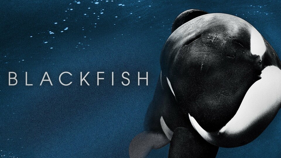 Blackfish - 