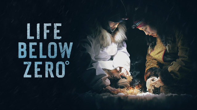 Life Below Zero key art