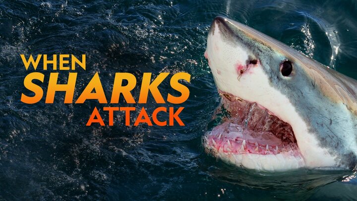 When Sharks Attack - Nat Geo Reality Series - Where To Watch